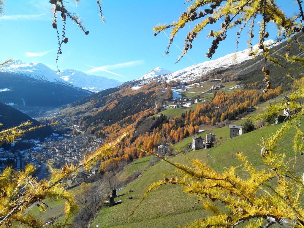 Agriturismo Raethia Isolaccia Eksteriør bilde