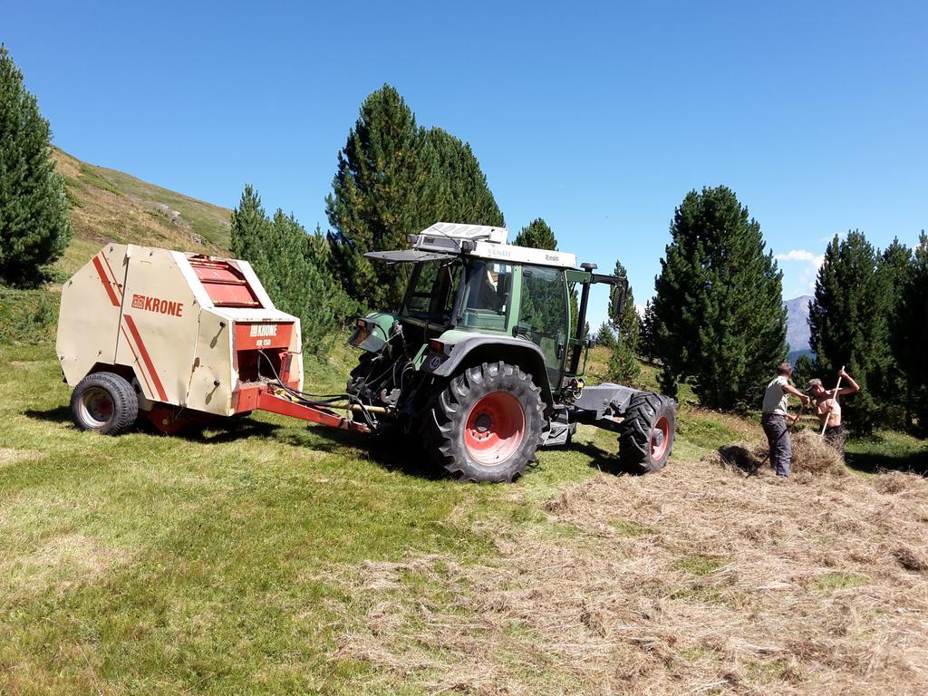 Agriturismo Raethia Isolaccia Eksteriør bilde