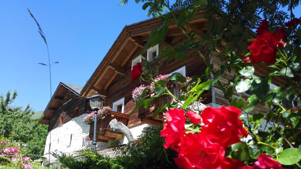 Agriturismo Raethia Isolaccia Eksteriør bilde